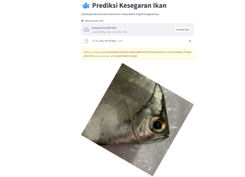 Penggunaan CNN untuk Menentukan Kesegaran Ikan Bawal